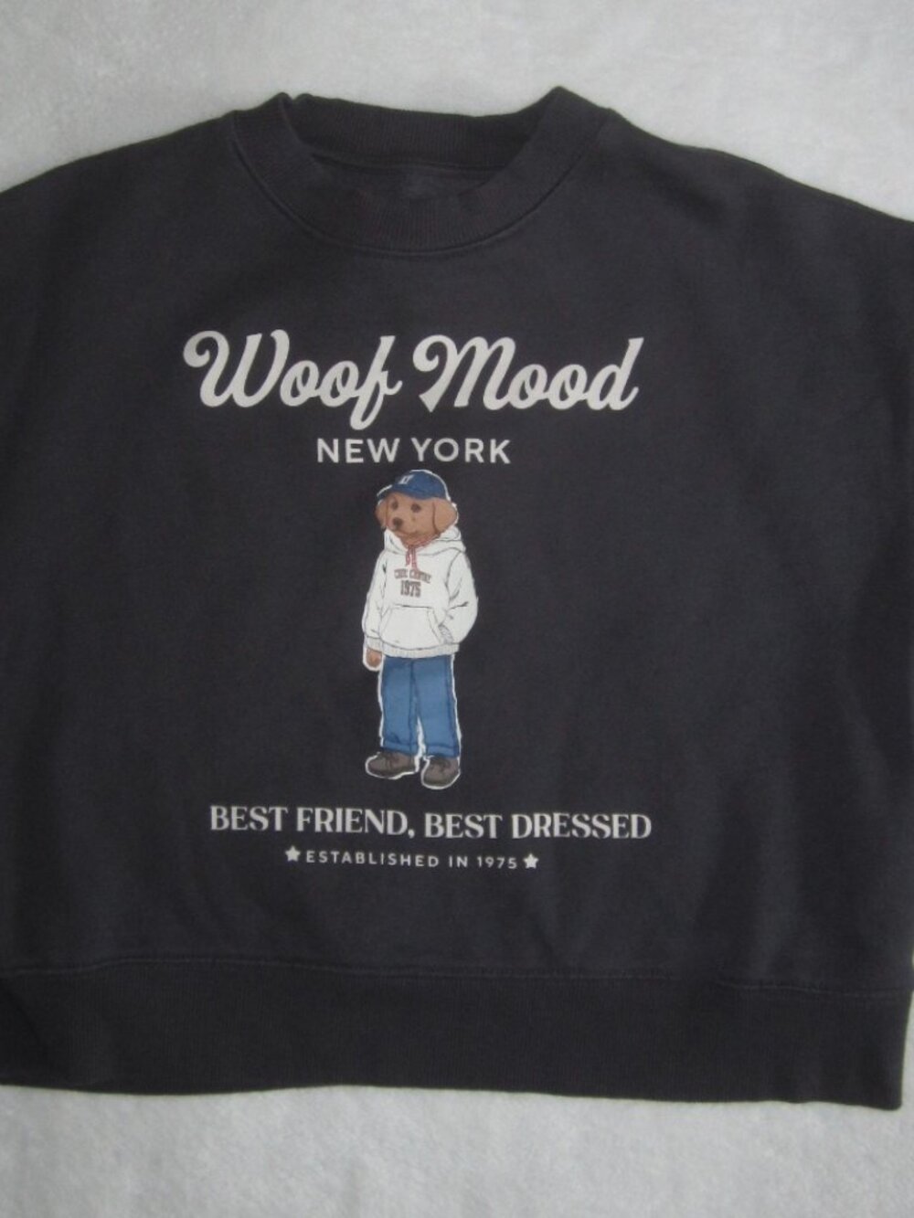ZARA Woof Mood New York Best Dressed Best Friends Dog Sweatshirt 13-14 Yrs 164cm